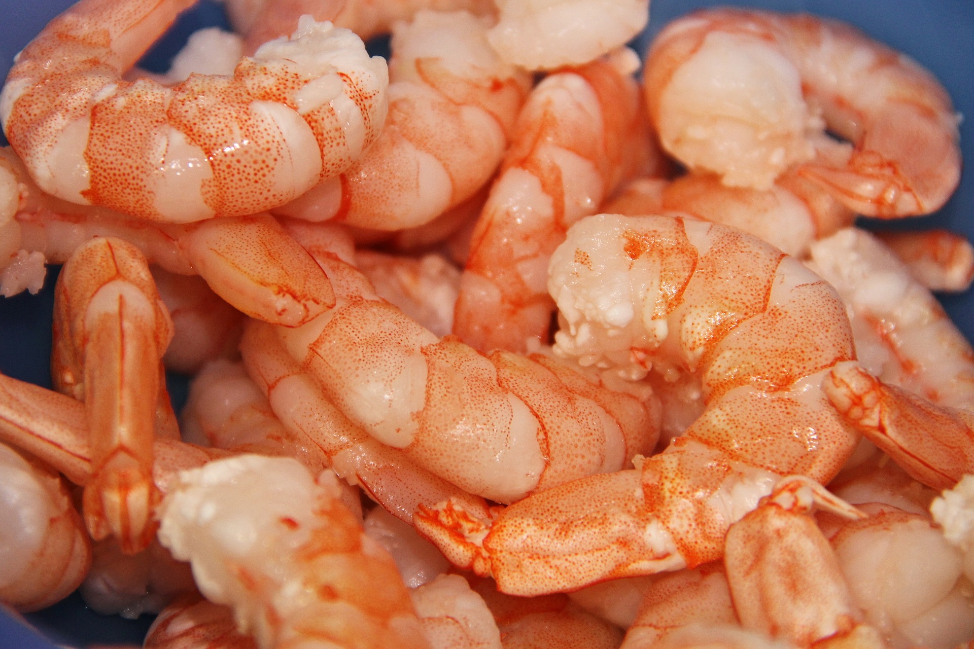 Two Nutritional Benefits of Shrimp Eastern Fish Company