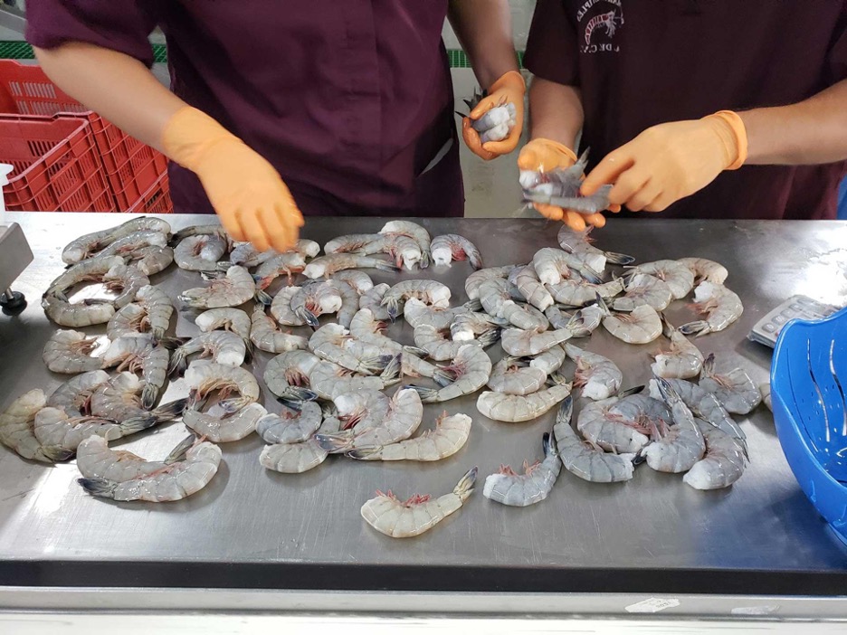 Cali-Mex Joins the Kin Hong Seafood Festival and Goes Sustainable